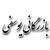 56562057